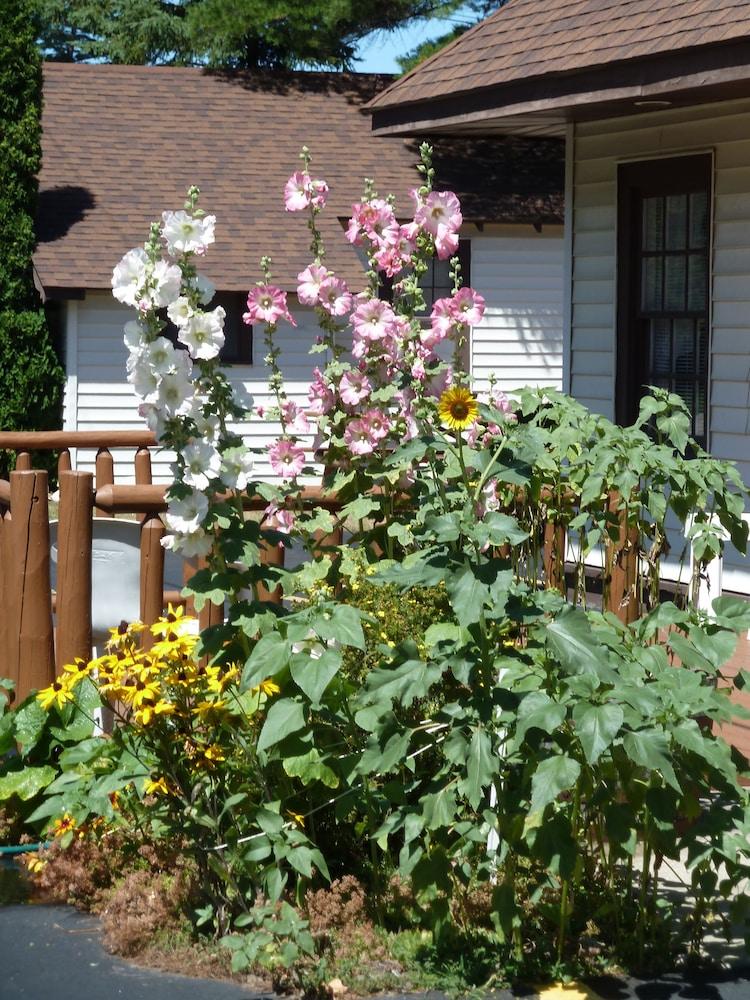 The Beach House photo 23