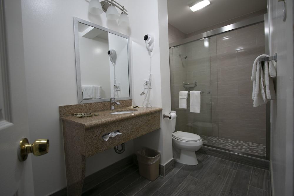 Alpha Inn & Suites photo 23