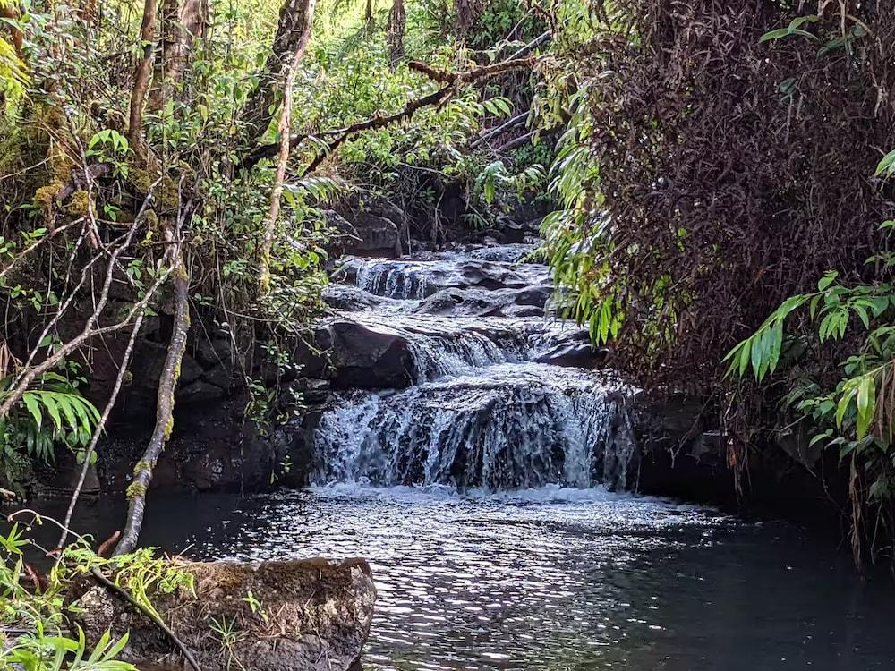 Kikala Waterfall Lodge photo 55