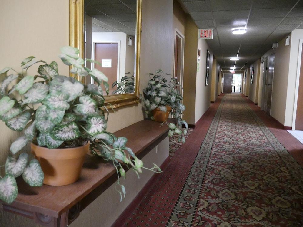 Motel Sun Inn photo 7