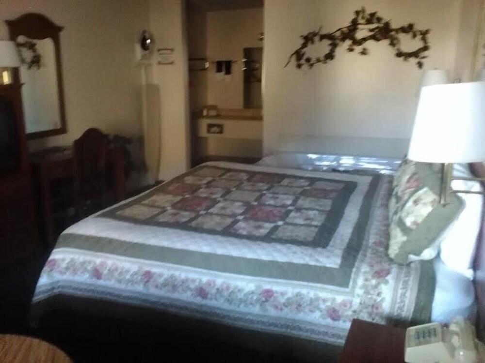 The Razorback Lodge photo 19