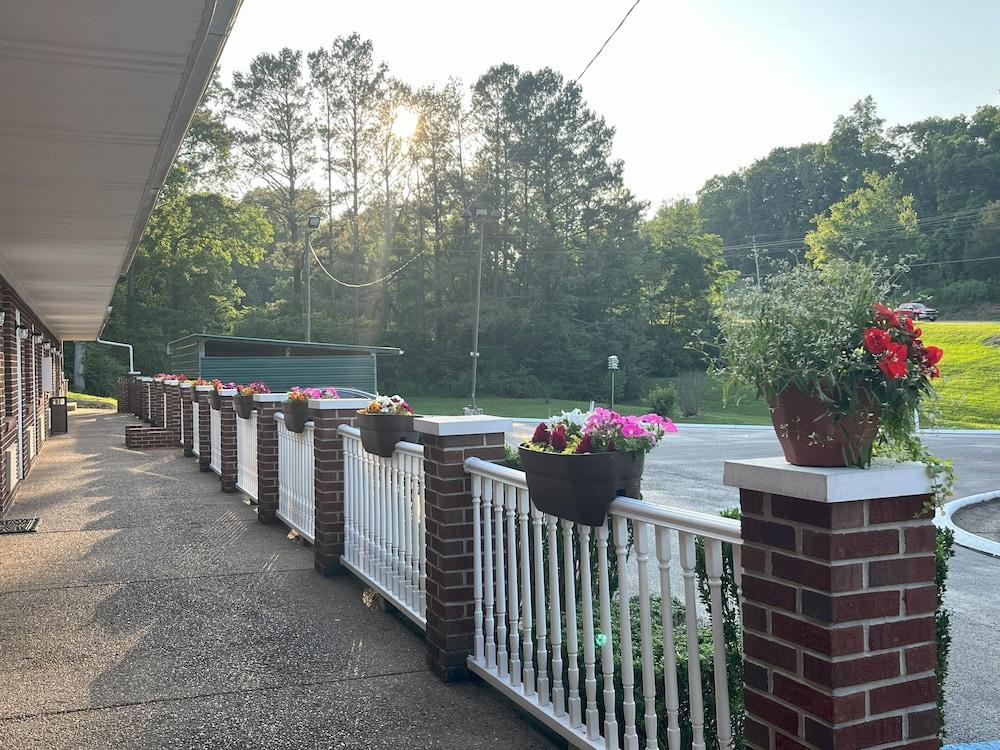 Pine Tree Inn photo 43