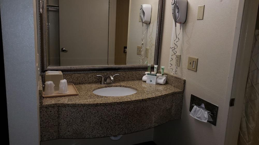 Oak Tree Inn photo 25