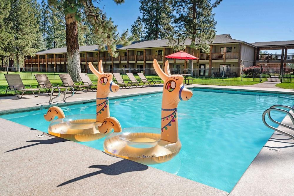 Best Western Ponderosa Lodge photo 30