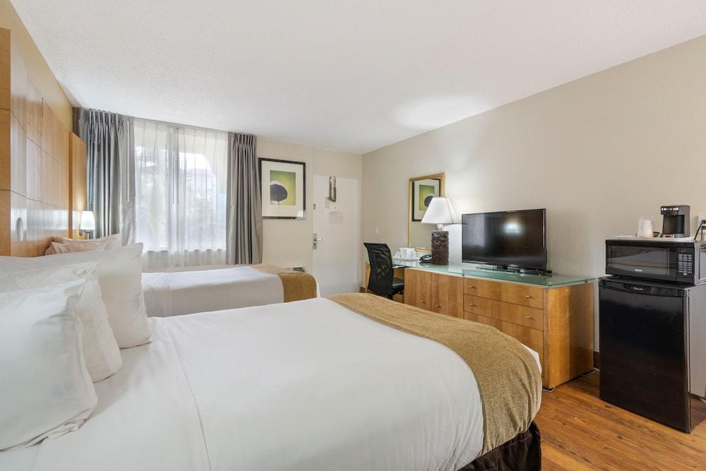 Ocean Reef Hotel photo 4