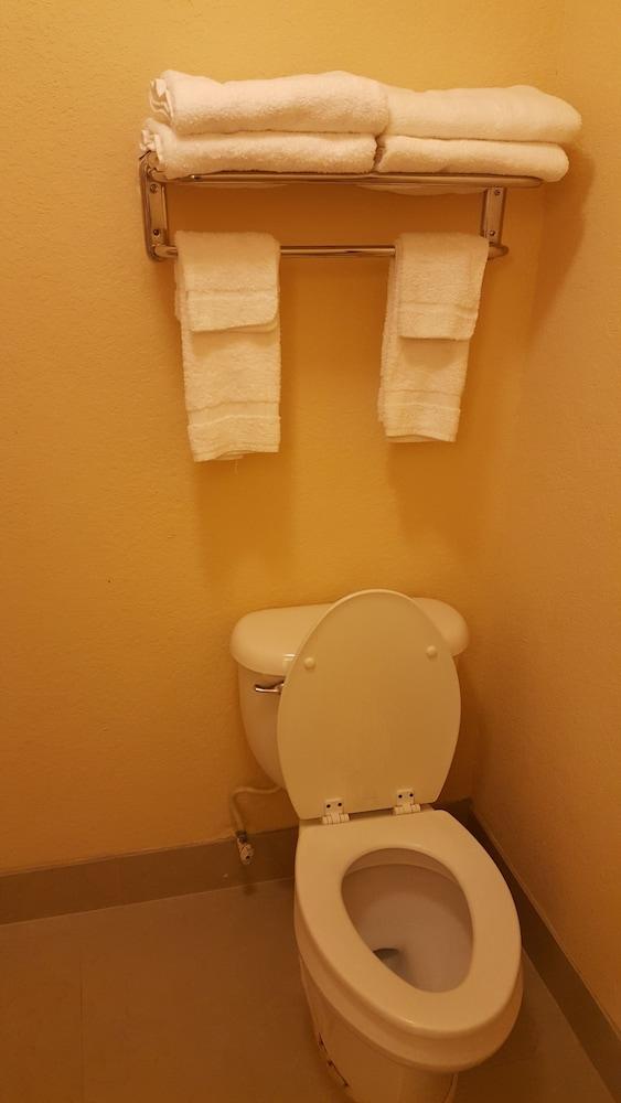 Econo Lodge Tampa near Busch Gardens photo 10