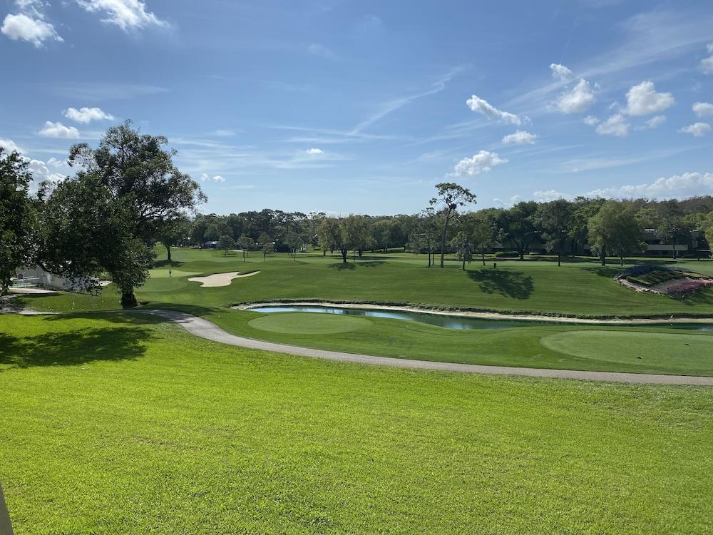Innisbrook Resort photo 60