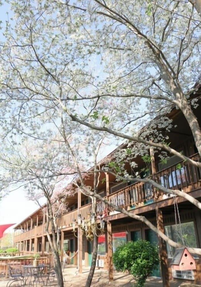 Shady Cliff Resort photo 10