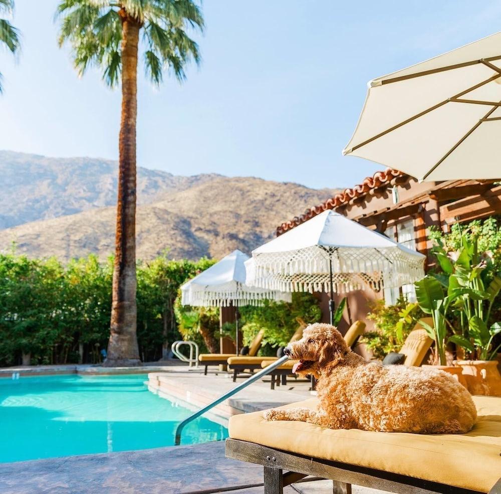 Talavera Palm Springs photo 61