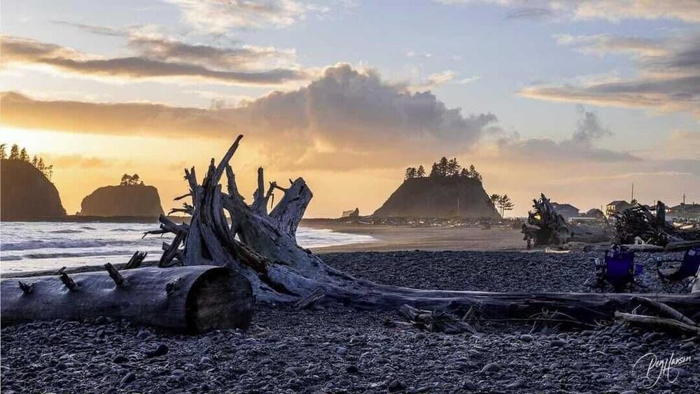 Quileute Oceanside Resort photo 28