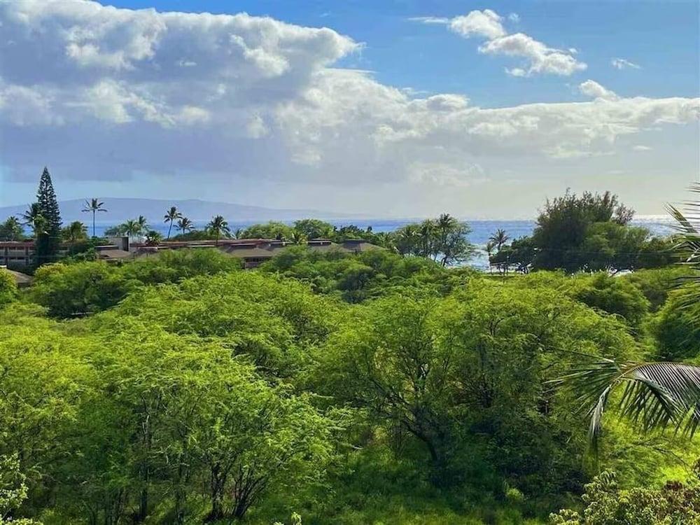 Signature Residences at Maui Banyan photo 69