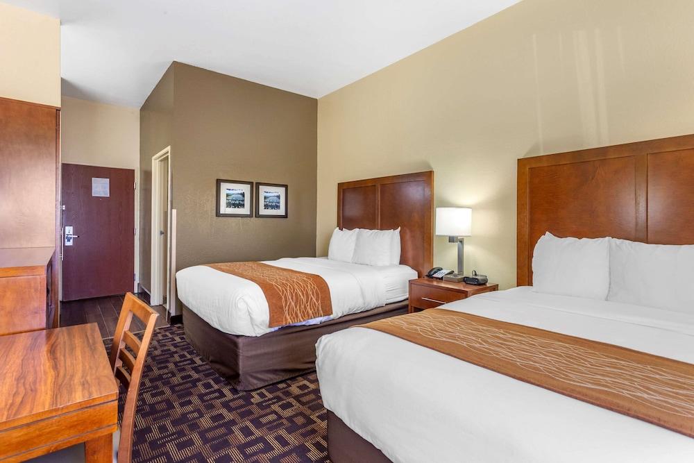 Comfort Inn & Suites North Aurora - Naperville photo 15