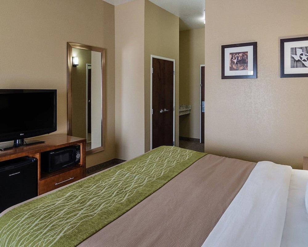 Comfort Inn Midland South I-20 photo 41