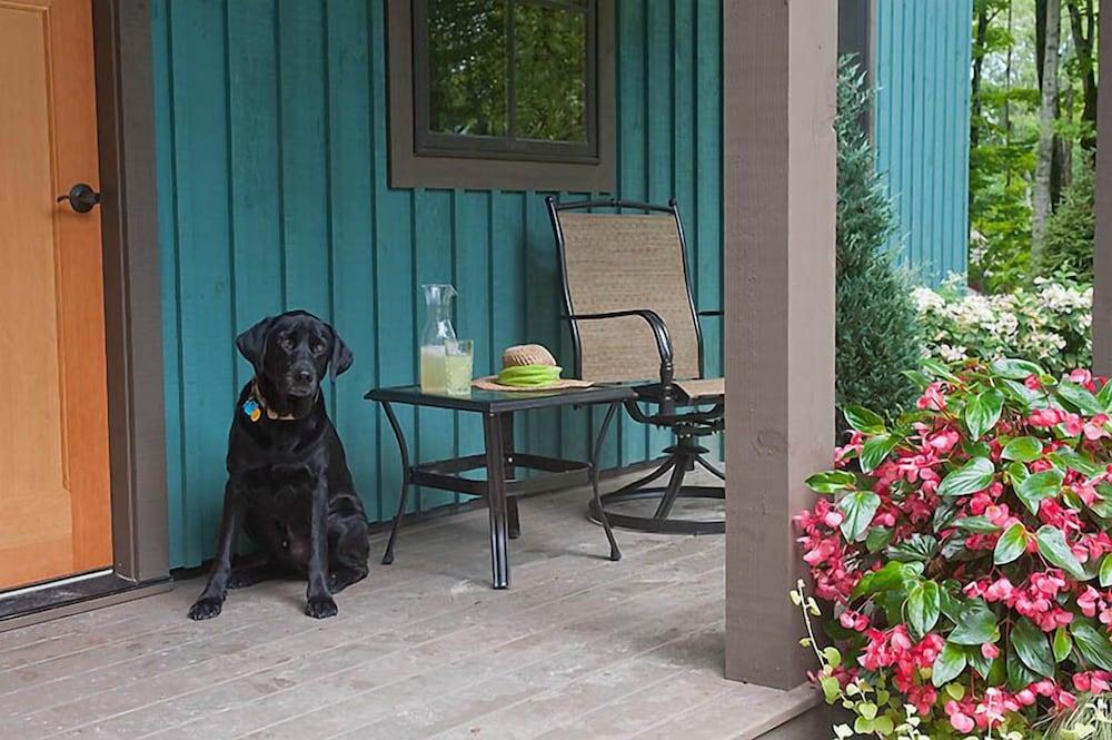 The Mountain Top Inn & Resort photo 78