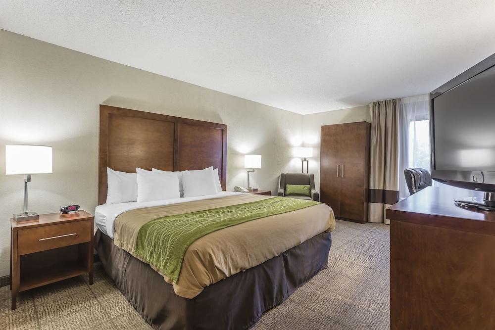 Quality Inn Summerville - Charleston photo 9