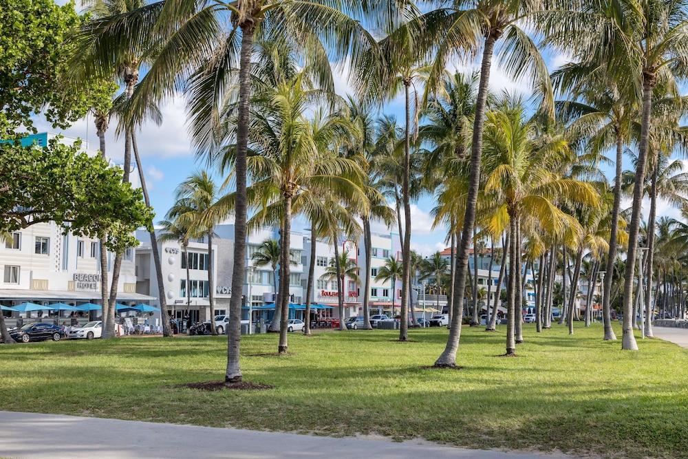 Park Central South Beach photo 90
