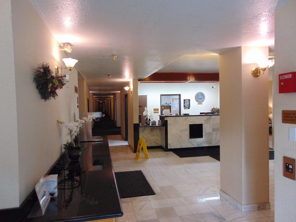 Bellis Inn photo 7