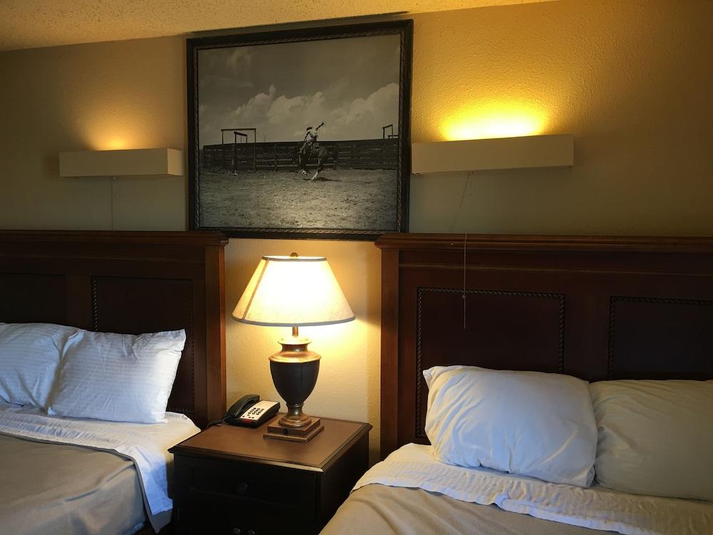 Reddy Inn and Suites photo 16