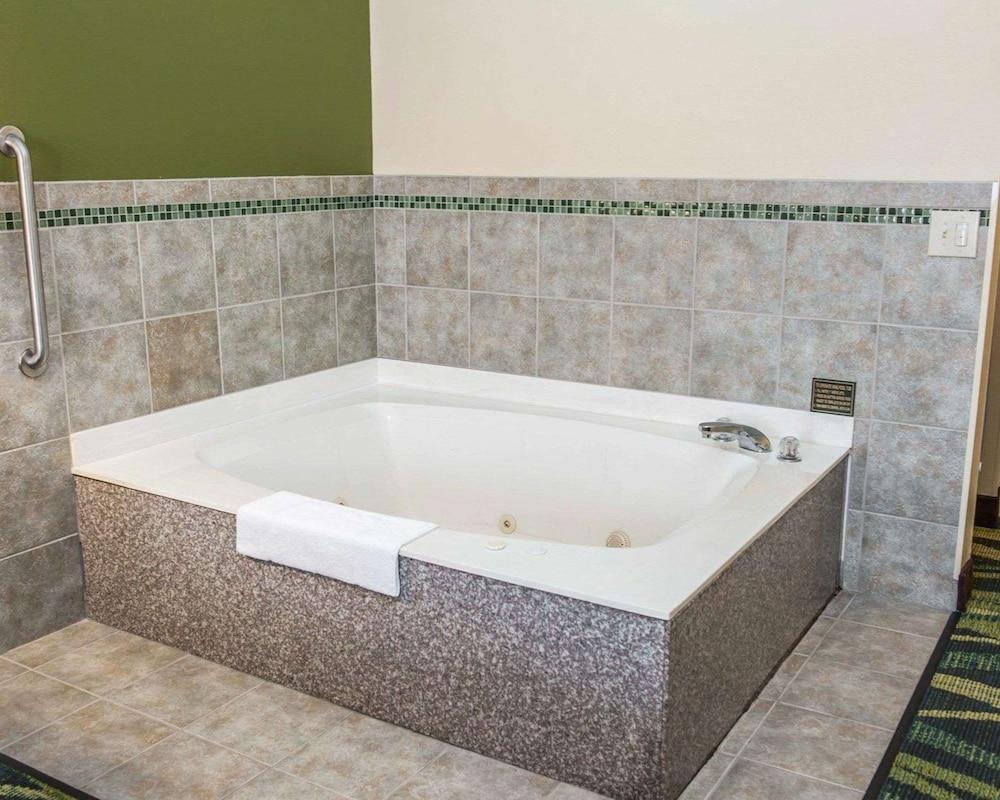 Quality Inn & Suites South Bend Airport photo 39