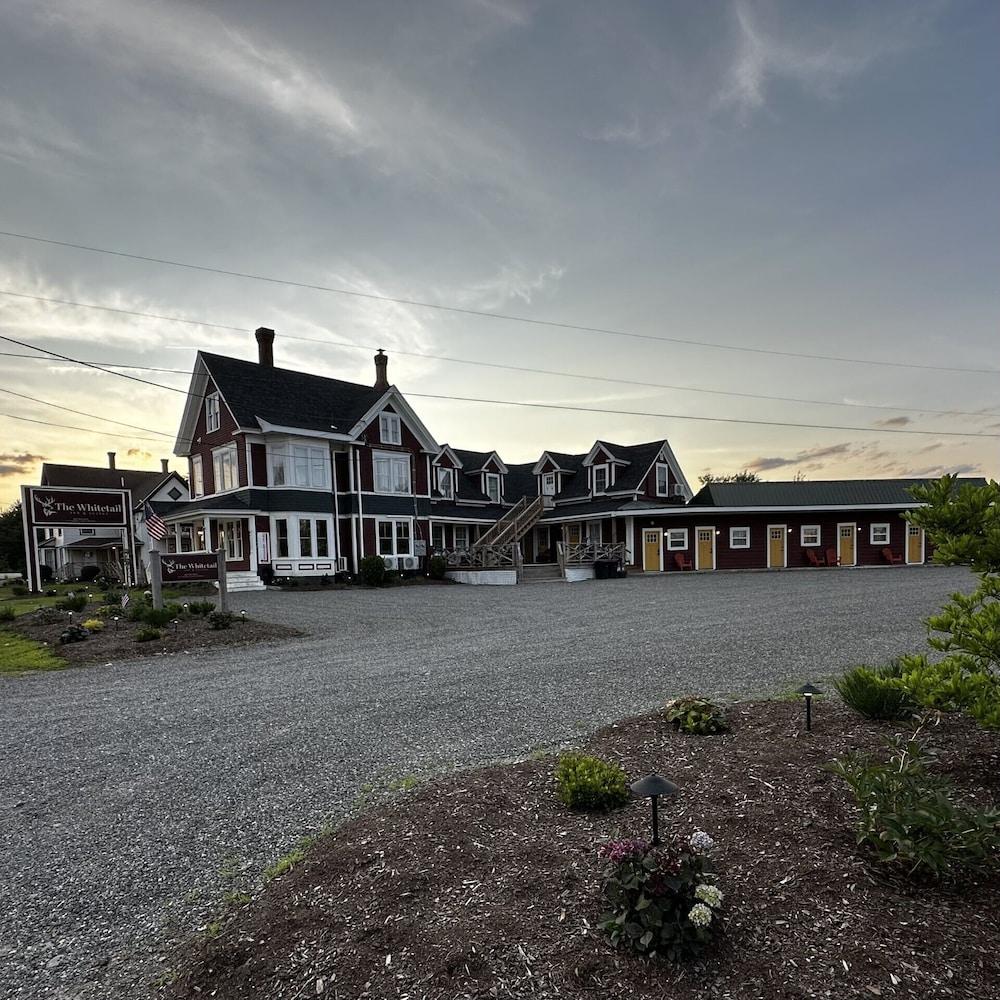 The Whitetail and Suites photo 1