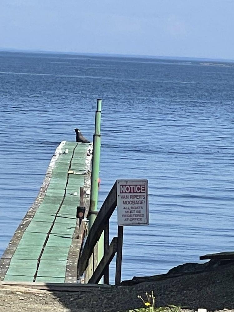 Curley's Resort & Dive Center photo 12