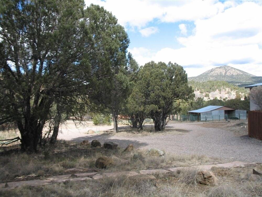 Bear Mountain Lodge photo 60