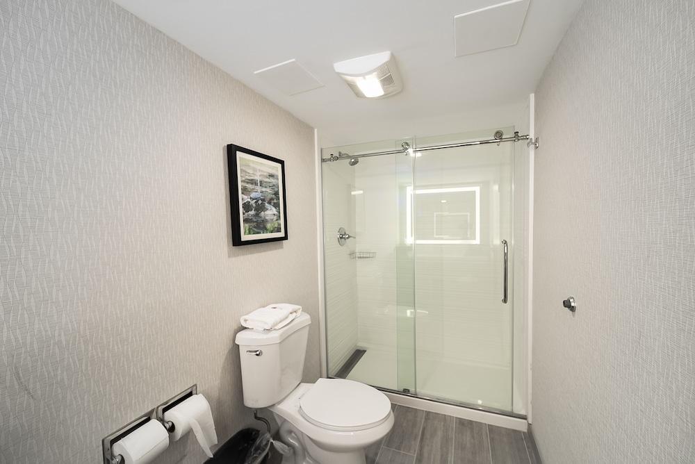 Comfort Inn & Suites Wyomissing/Reading photo 72