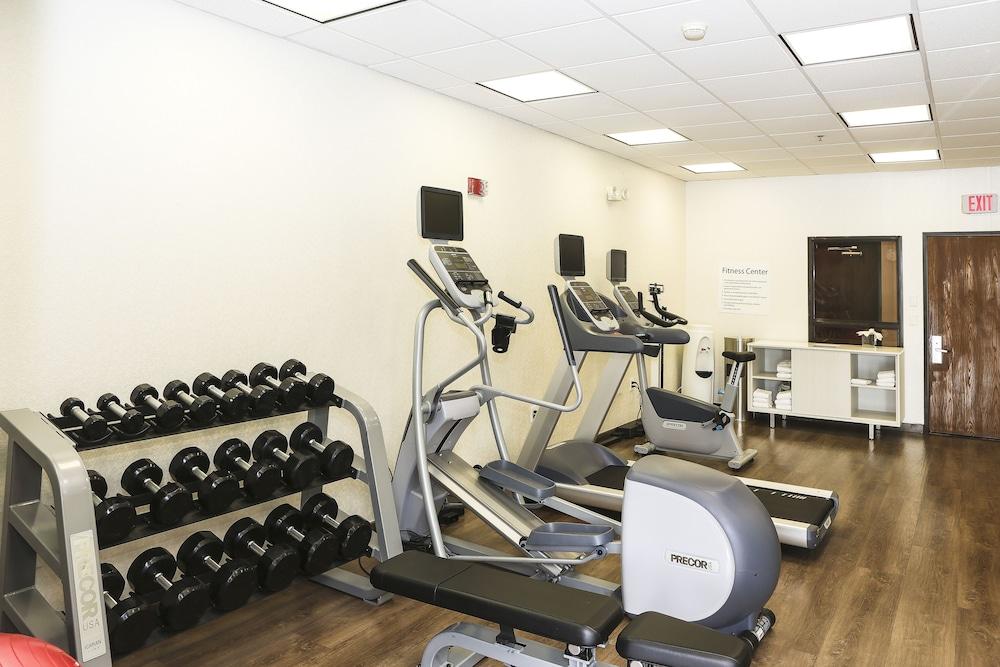 Holiday Inn Express Hotel & Suites Phoenix-Airport by IHG photo 43