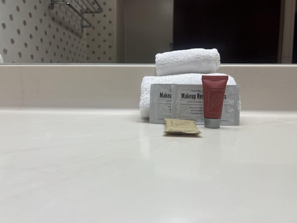 Orlando Palms Hotel photo 16