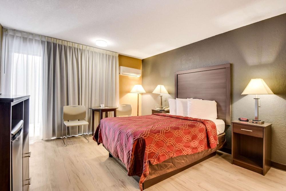 Econo Lodge Tampa near Busch Gardens photo 43