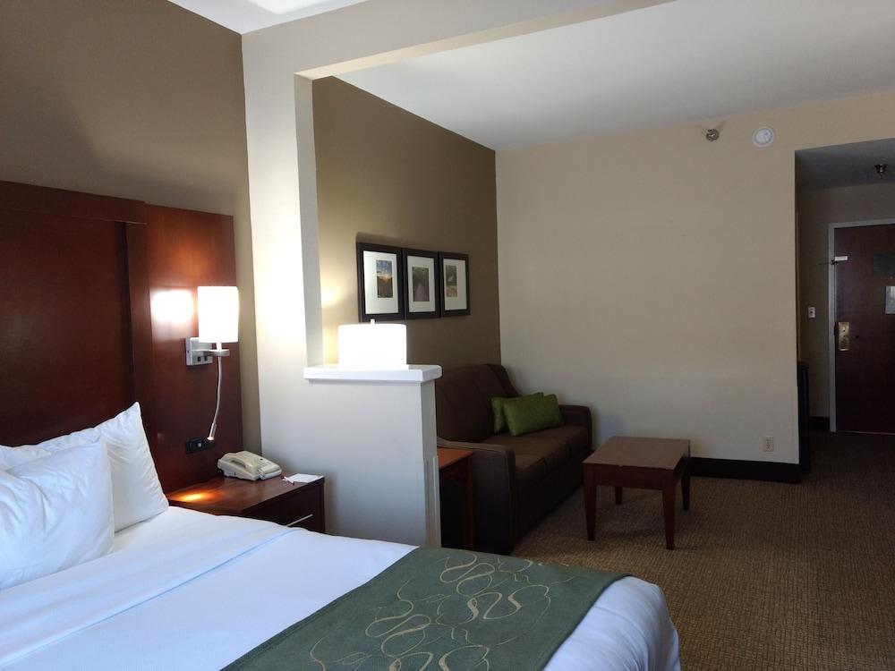 Comfort Suites Johnson City near University photo 6