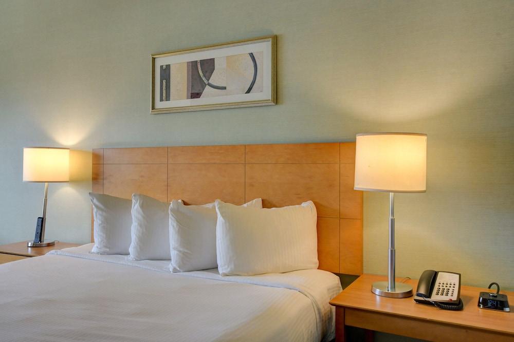 Sapphire Skyline Premium Suite photo 15