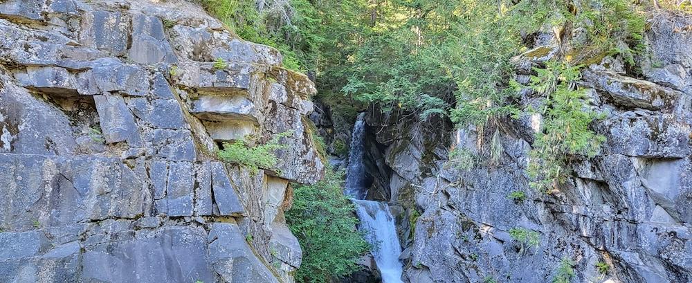 Nisqually Lodge photo 37