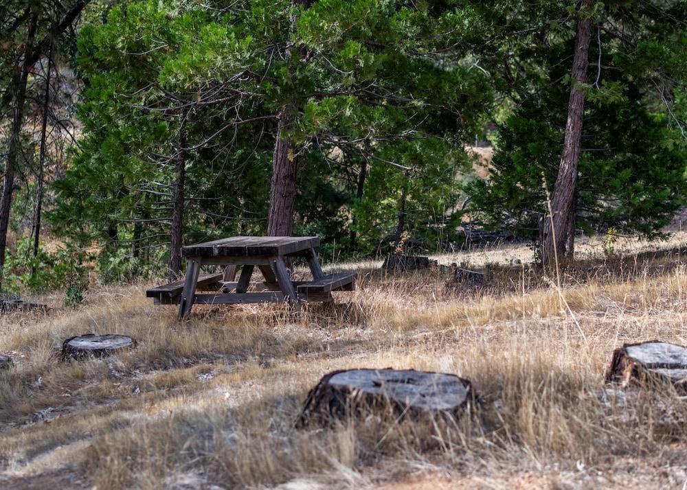 Inn at Sugar Pine Ranch photo 19