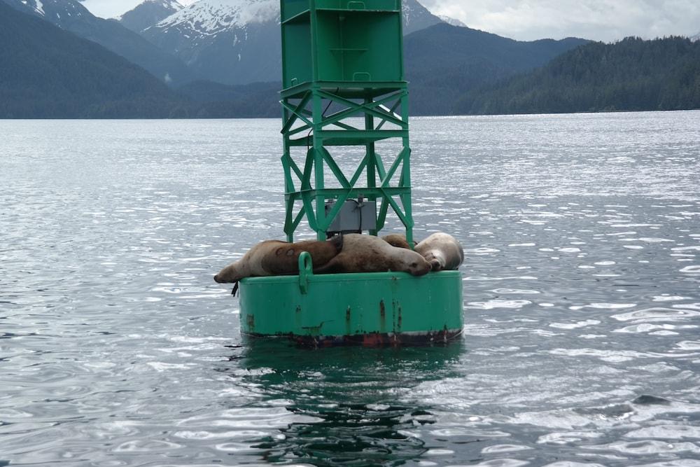 Sitka Hotel and Restaurant photo 2