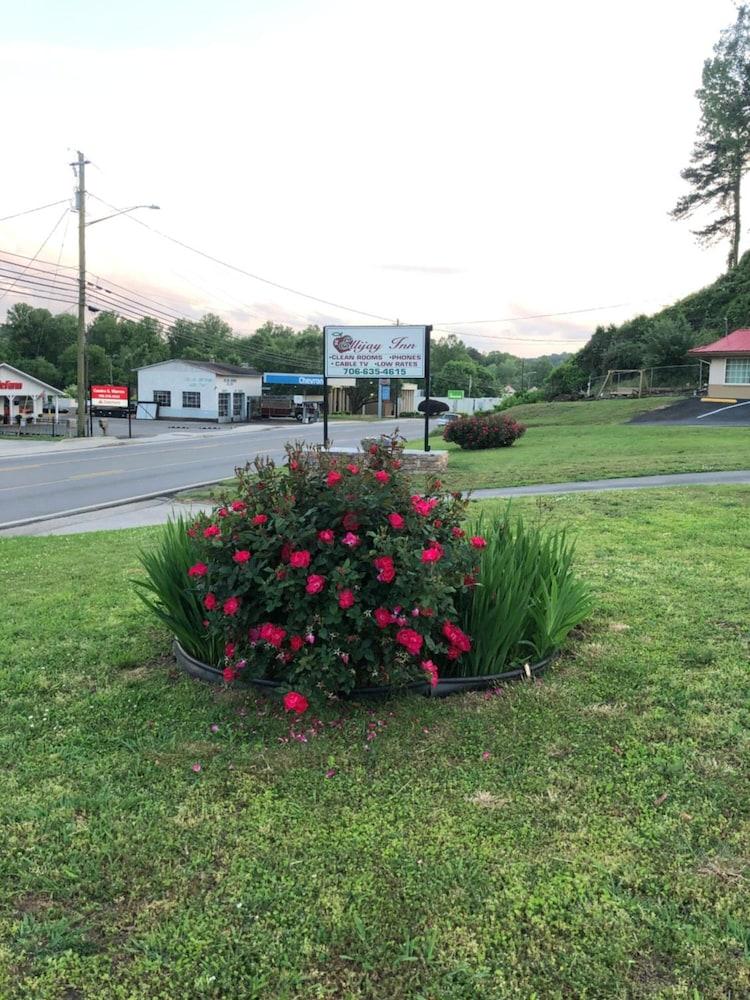 Ellijay Inn photo 19