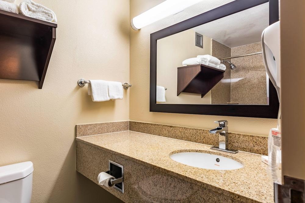 Red Roof Inn PLUS+ & Suites Houston - IAH Airport SW photo 28