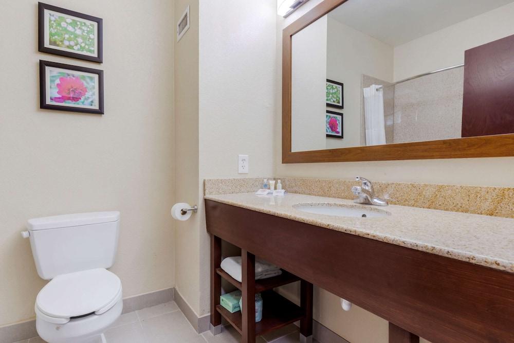 Comfort Suites Copperas Cove photo 21