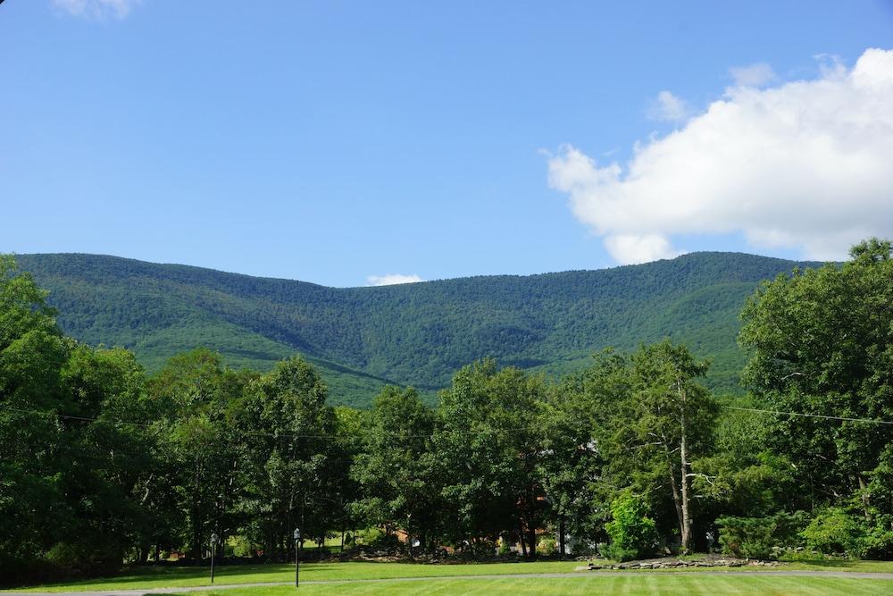 Riedlbauer's Resort photo 19