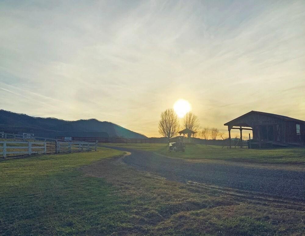 Briggs Brothers Ranch & Resort photo 2