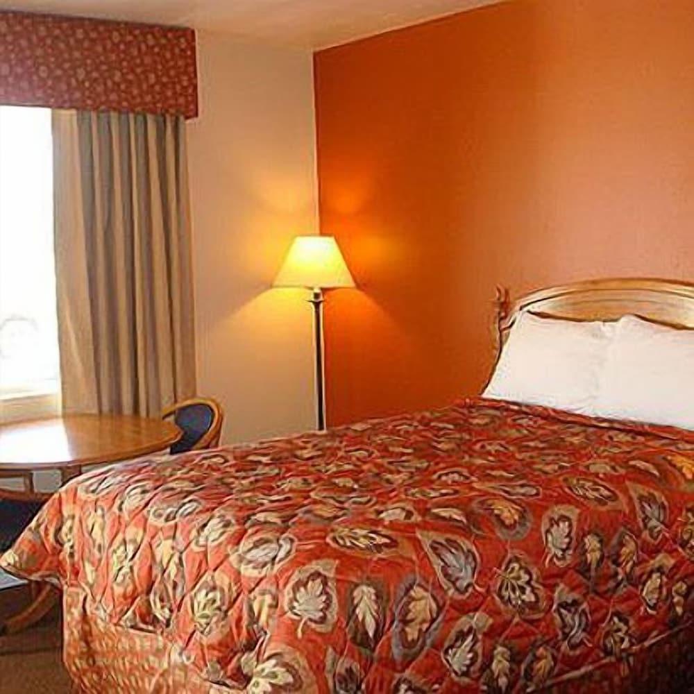 Starlite Motel Many photo 5