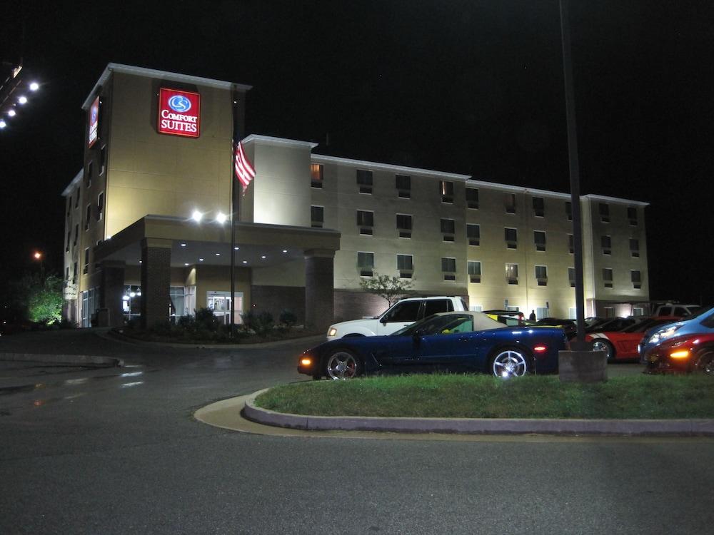 Comfort Suites Columbia - University Area photo 37