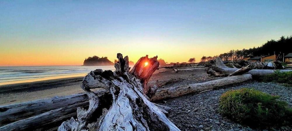 Quileute Oceanside Resort photo 33