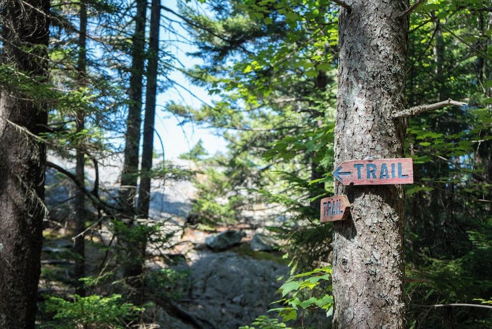 Ferncrest Acadia photo 11