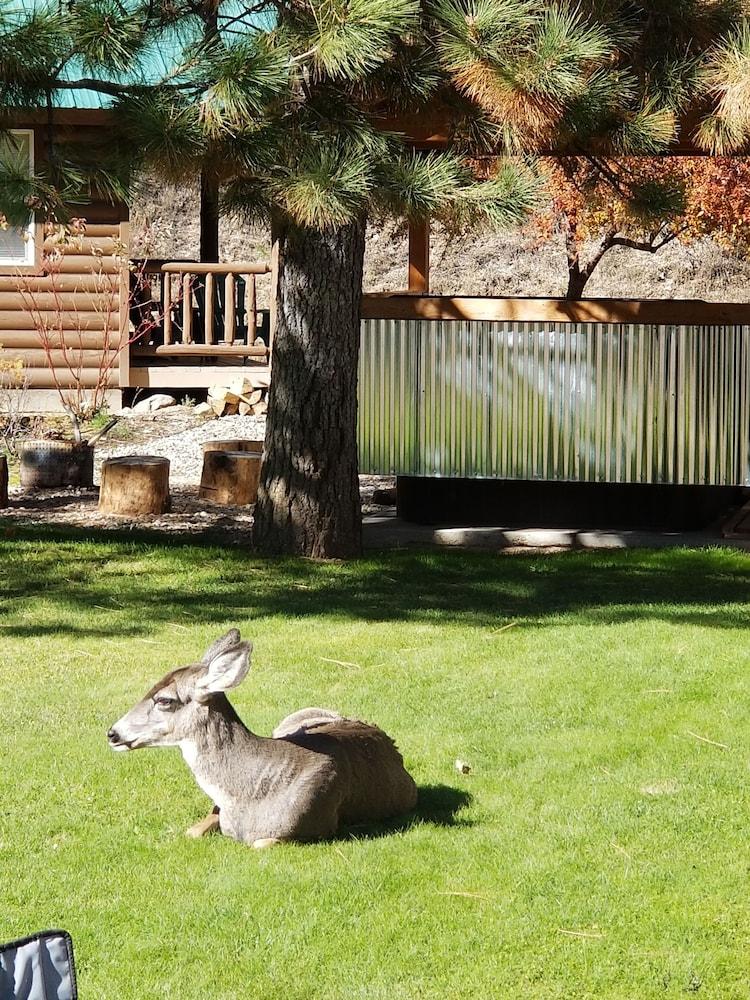 Sourdough Lodge photo 26