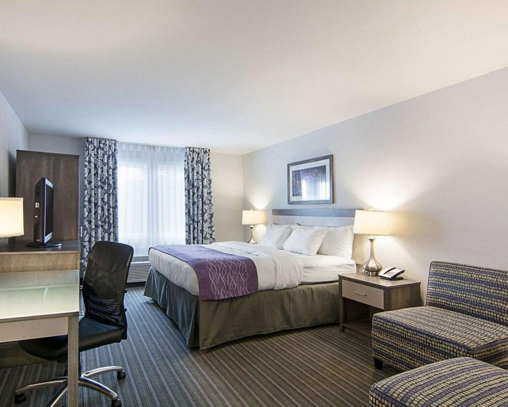 Comfort Inn Williamsburg Gateway photo 20
