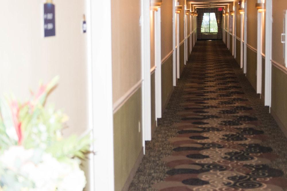 Aderi Hotel Niantic photo 17