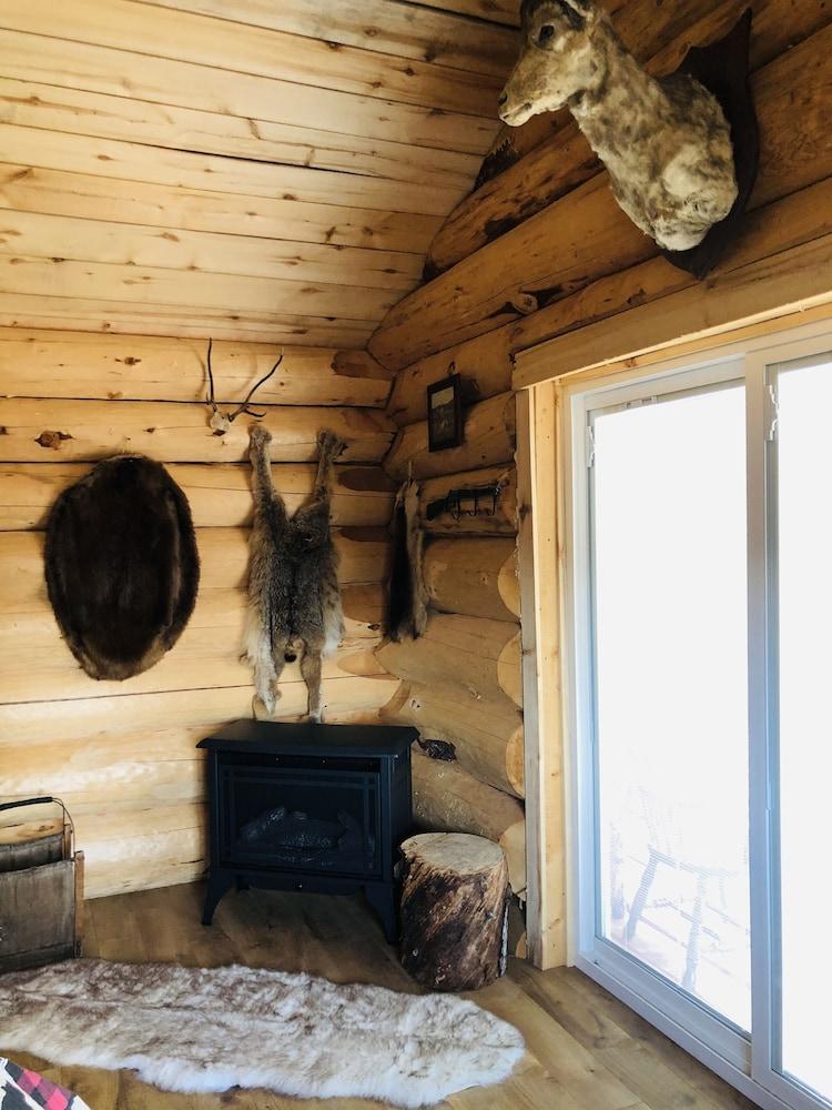 Wrangell Mountain Lodge photo 57
