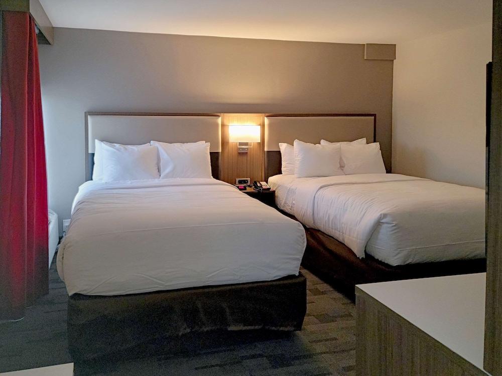 Comfort Inn & Suites Wyomissing/Reading photo 67