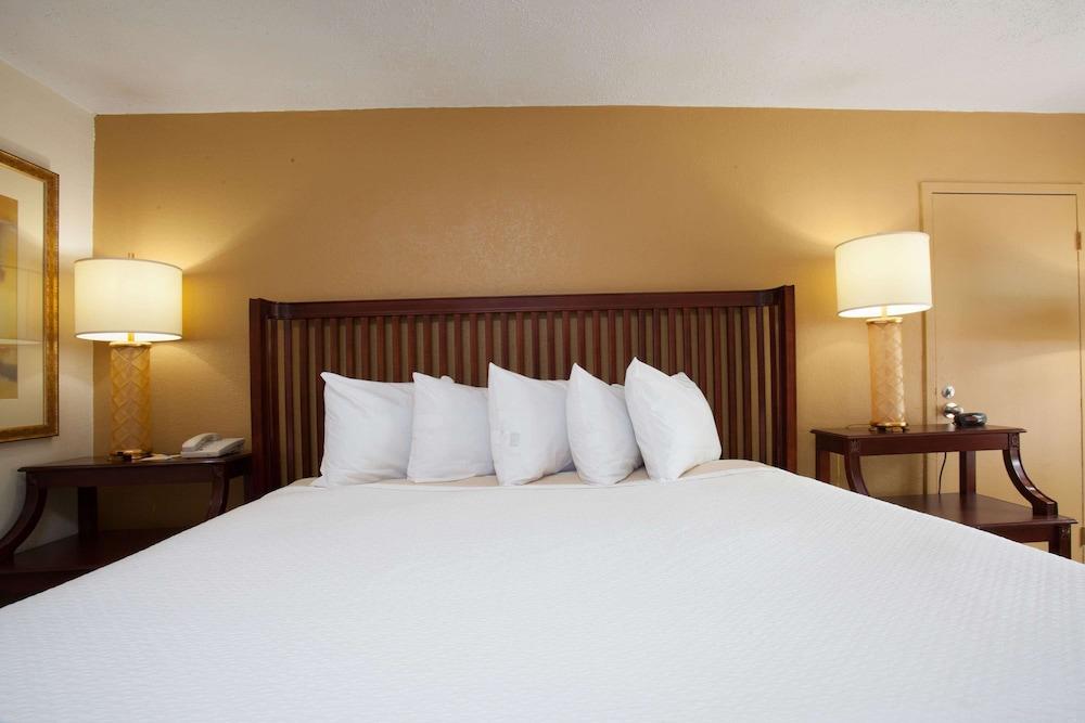 Econo Lodge Daytona Beach - Speedway photo 43